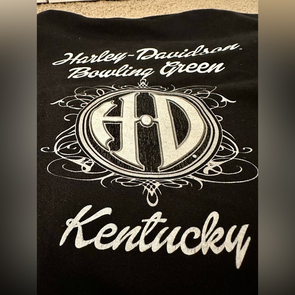 HARLEY DAVIDSON BRIGHT BLUE & BLACK V-NECK T-SHIRT - Medium - Picture 9 of 11